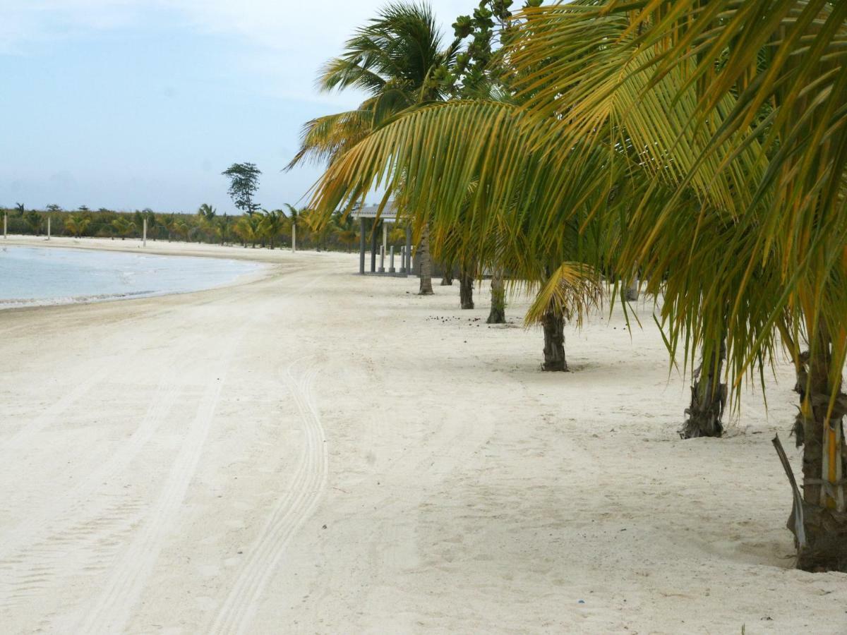 Jamnick Vacation Rentals - Richmond, St Ann, Jamaica Ocho Rios Zewnętrze zdjęcie